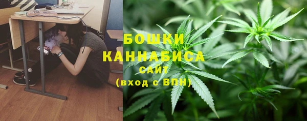 стаф Богородск