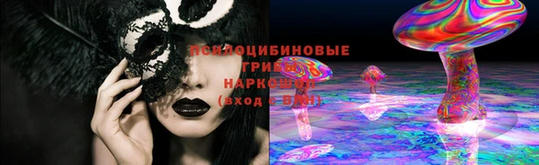 прущая мука Богородицк