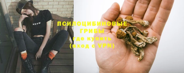 марки lsd Богданович