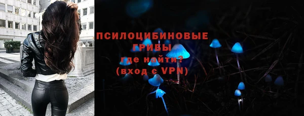стаф Богородск