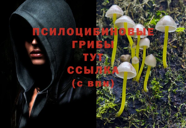 марки lsd Богданович