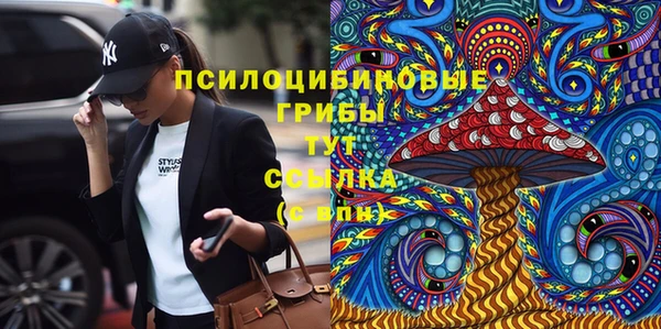 марки lsd Богданович