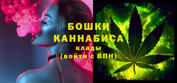 стаф Богородск
