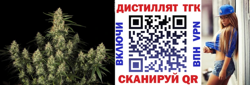 цена   Старица  ТГК концентрат 